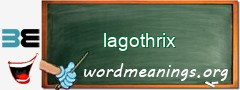 WordMeaning blackboard for lagothrix